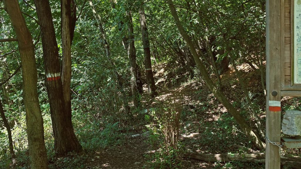 Sentiero Sentiero Naturalistico Astolfo Lunardi Sentieri