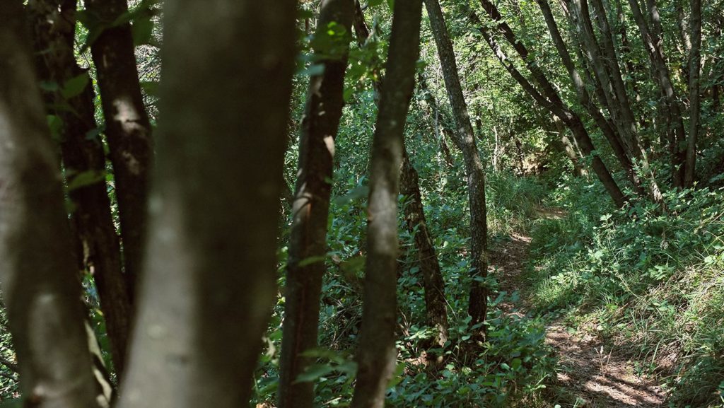 Sentiero Sentiero Naturalistico Astolfo Lunardi Sentieri