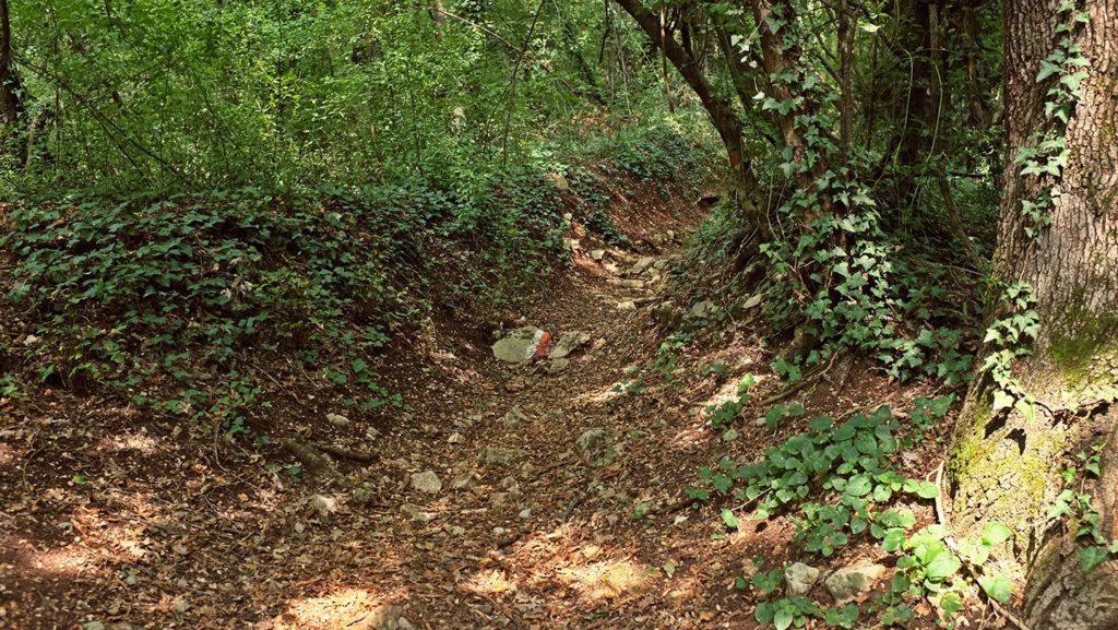  Monte Maddalena