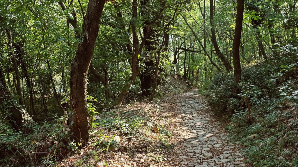  Monte Maddalena