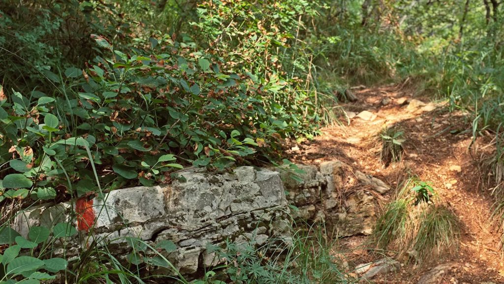  Monte Maddalena